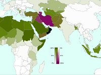Muslimové ve světě.  Rozšíření islámu: zeleně je vyznačen sunnitský islám, fialová barva představuje ší'itský islám a tmavě modrá ibádíju islám (Omán).  Ibádíja (arabsky: الاباضية, al-Ibáḍíja) je sekta a minoritní větev islámu. Převládá v Ománu a na Zanzibaru. Vyznačuje se umírněností a velkou shovívavostí k jiným náboženstvím.  Ší'ité - za legitimní vůdce islámské obce považují jen potomky Muhammadovy rodiny v linii počínající jeho bratrancem a zetěm Alím ibn Abú Tálibem.  Sunnité - >75% všech muslimů.  po smrti proroka Mohameda byl zvolen nástupcem Abu Bakr - zámožný kupec - ne člen Mohamedovy rodiny.
