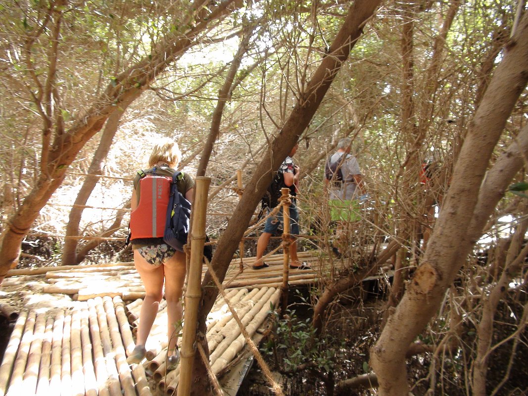 Al Zorah Kayak tours