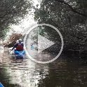 Al Zorah Kayak tours