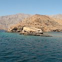 Dhow Cruise fjordem  Khor Sam